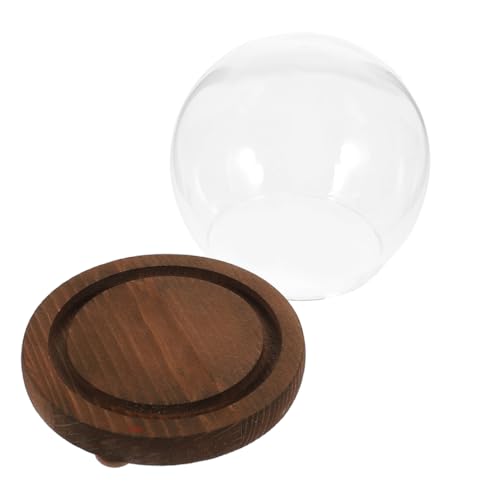GALPADA Glasglocke mit Holzsockel Transparente Kugelförmige Glasglocke Dekorative Blumenglocke für Schreibtisch Stabiles mit Bruchsicherer Konstruktion Eleganter Staubschutz für GALPADA Glasglocke mit Holzsockel Transparente Kugelförmige Glasglocke Dekorative Blumenglocke für Schreibtisch Stabiles mit Bruchsicherer Konstruktion Eleganter Staubschutz für von GALPADA