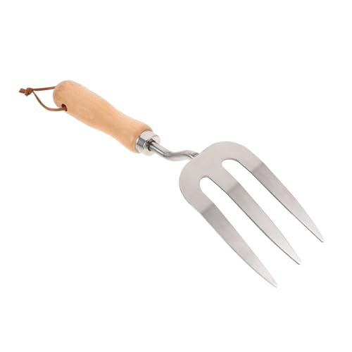 GALPADA Handrechen aus Rostfreiem Edelstahl mit Holzgriff Langlebiges Gartengerät zum Jäten und Kultivieren Praktische Gartenhacke für Bonsai Sukkulenten und Pflanzenpflege Gartenzubehör GALPADA Handrechen aus Rostfreiem Edelstahl mit Holzgriff Langlebiges Gartengerät zum Jäten und Kultivieren Praktische Gartenhacke für Bonsai Sukkulenten und Pflanzenpflege Gartenzubehör von GALPADA