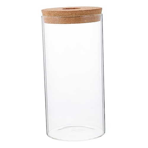 GALPADA Hochborosilikatglas Ökologische Mikrolandschaftsflasche Terrarium DIY Pflanzflasche Klar für Moos Pflanzen Dekoration Handschonend Leicht zu Reinigen GALPADA Hochborosilikatglas Ökologische Mikrolandschaftsflasche Terrarium DIY Pflanzflasche Klar für Moos Pflanzen Dekoration Handschonend Leicht zu Reinigen von GALPADA