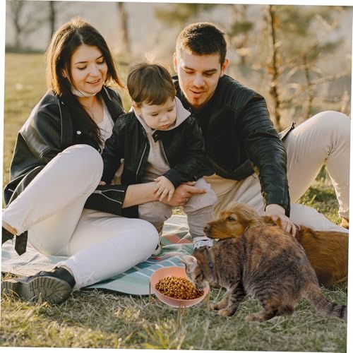 GALPADA Keramik Katzennapf mit Einzigartigem Raumschiff Design Orange rutschfest Robust für Katzenfutter und Wasser Einfache Stilvolle Futterstation für Kleine Katzen GALPADA Keramik Katzennapf mit Einzigartigem Raumschiff Design Orange rutschfest Robust für Katzenfutter und Wasser Einfache Stilvolle Futterstation für Kleine Katzen von GALPADA