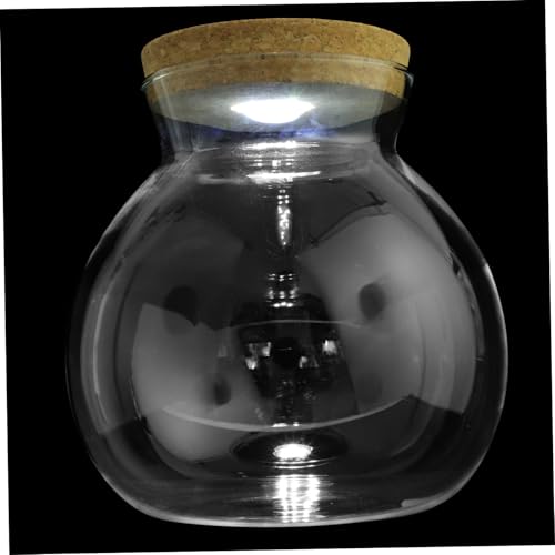 GALPADA Led-glasflasche für Mikrolandschaften mit -Ansicht Integrierter Led-Beleuchtung Multifunktional als Aquarium Pflanzvase und Wohnraumdekoration DIY Ökosystem Flaschengarten für GALPADA Led-glasflasche für Mikrolandschaften mit -Ansicht Integrierter Led-Beleuchtung Multifunktional als Aquarium Pflanzvase und Wohnraumdekoration DIY Ökosystem Flaschengarten für von GALPADA