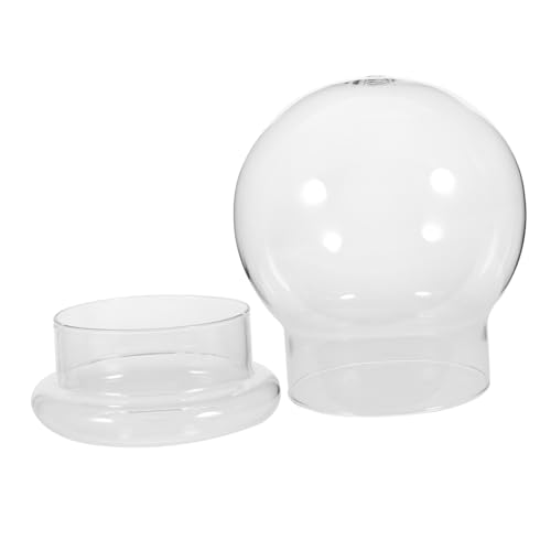 GALPADA Mikrolandschaft Glasflasche Terrarium mit Klares Dekoratives Ökoflasche DIY Kompakte Desktop Sukkulenten Vitrine Glatte Oberfläche Vielseitig für Pflanzen und Deko Geeignet GALPADA Mikrolandschaft Glasflasche Terrarium mit Klares Dekoratives Ökoflasche DIY Kompakte Desktop Sukkulenten Vitrine Glatte Oberfläche Vielseitig für Pflanzen und Deko Geeignet von GALPADA