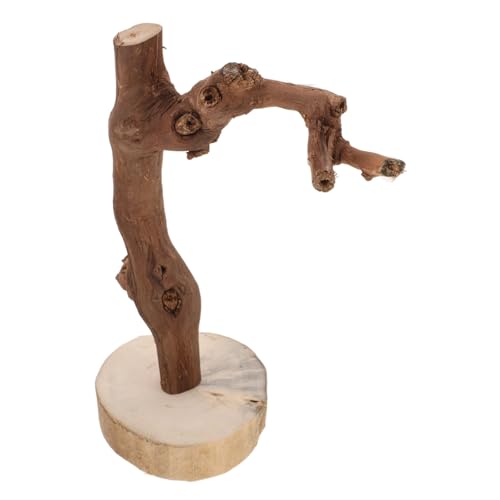 GALPADA Natürlicher Holz Papageien Sitzstange mit Stabilem Standfuß Hoher Vogel Kletterast für Wellensittich und Sittiche Multifunktionaler Trainingsplatz und Spielzubehör für Käfig und GALPADA Natürlicher Holz Papageien Sitzstange mit Stabilem Standfuß Hoher Vogel Kletterast für Wellensittich und Sittiche Multifunktionaler Trainingsplatz und Spielzubehör für Käfig und von GALPADA