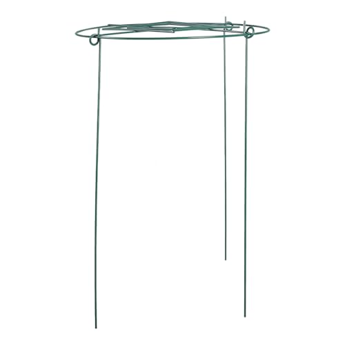 GALPADA Pflanzenstütze Rankhilfe aus Robustem Eisen Vielseitiger Kletterpflanzenhalter für Innenbereich und Garten Wetterfester Pflanzengitter für Blumen Kletterrosen und Kletterpflanzen von GALPADA