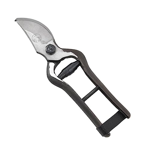 GALPADA Professionelle Astschneider Garten Schere Ergonomisch Rutschfester Griff für Baumschnitt und Gartenarbeit für Kleine Hochwertiges Schneidwerkzeug für Hobbygärtner von GALPADA