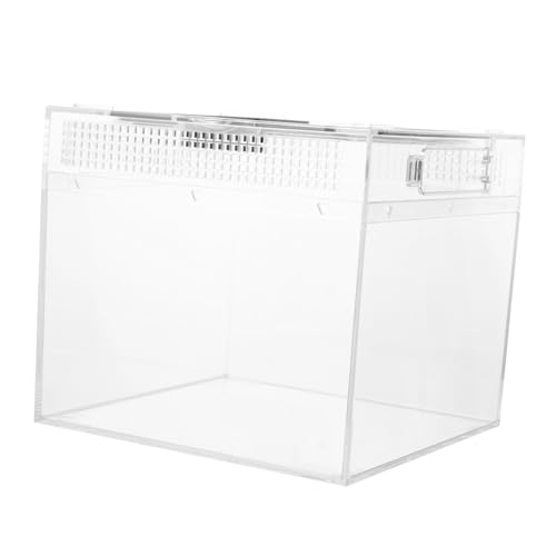 GALPADA Reptilien Futterbox Transparent Futterbehälter mit Magnetverschluss für Echsen Schildkröten Kleine Futterbox Atmungsaktiv Langlebig für Terrarien Zucht und Pflege von GALPADA