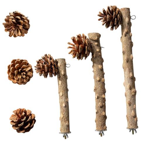 GALPADA Teiliges Papageien Spielset aus Natürlichem Holz mit Zapfen Stabile Vogelkäfig Sitzstangen für Papageien und Kleine Vögel Sichere Kletter und Kauplattform Langlebiges Zubehör für GALPADA Teiliges Papageien Spielset aus Natürlichem Holz mit Zapfen Stabile Vogelkäfig Sitzstangen für Papageien und Kleine Vögel Sichere Kletter und Kauplattform Langlebiges Zubehör für von GALPADA