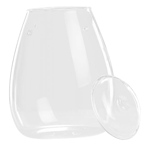 GALPADA Terrarium Glasvase Transparent Mikrolandschaft DIY Hydroponische Dekoration Glasbehälter Ökoflasche für Tischdeko Pflanzenarrangements GALPADA Terrarium Glasvase Transparent Mikrolandschaft DIY Hydroponische Dekoration Glasbehälter Ökoflasche für Tischdeko Pflanzenarrangements von GALPADA