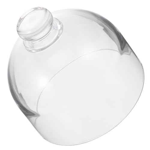 GALPADA Transparente Glas Tortenglocke mit Praktischem Griff Runde Kuchenhaube für Kuchen Desserts und Obst Staubschutz und Frischeerhalt Stilvolles Design für Haushalt und Servierplatten GALPADA Transparente Glas Tortenglocke mit Praktischem Griff Runde Kuchenhaube für Kuchen Desserts und Obst Staubschutz und Frischeerhalt Stilvolles Design für Haushalt und Servierplatten von GALPADA