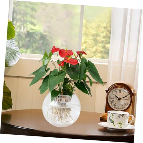 GALPADA Wandhängendes Fischglas und Blumentopf Transparent Kreatives Design Platzsparend Multifunktional als Aquarium und Pflanzenhalter Moderne Wanddekoration für Zuhause von GALPADA