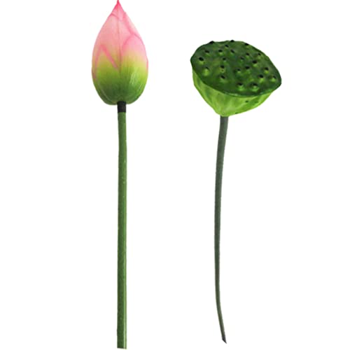 GANAZONO 1 Satz Simulation Lotus Pod Falsches Blumendekor Lotusblumenstrauß Simulation Lotusblume Lotus Dekorative Lotusknospe Lotusblumenmittelstück Künstlich Pu Requisiten Braut von GANAZONO