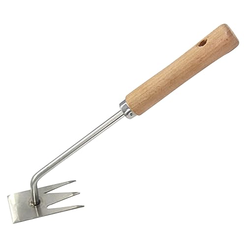 GANAZONO Ergonomischer Unkrautentferner Multifunktionales Gartenwerkzeug mit Robustem Griff zur Unkrautbeseitigung zwischen Pflastersteinen Langlebig und Einfach von GANAZONO