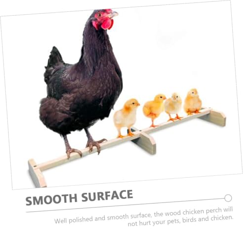 GANAZONO Natürliches Holz Hühnerstange für Hühner und Papageien Sichere Sitzstange als Parrot Stand Robustes Vogelspielzeug zur Bein Fußübung Geeignet für Hühnerstall und Vogelkäfig GANAZONO Natürliches Holz Hühnerstange für Hühner und Papageien Sichere Sitzstange als Parrot Stand Robustes Vogelspielzeug zur Bein Fußübung Geeignet für Hühnerstall und Vogelkäfig von GANAZONO