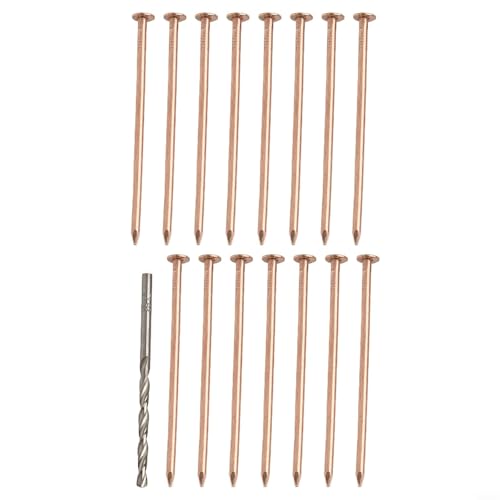GANCEI Kupfernägel zum Töten von Bäumen, 8,9 cm und 10,2 cm Optionen, Kupfernägel, Baumstumpfentfernung, Spikes mit Bohrer, 15 Stück GANCEI Kupfernägel zum Töten von Bäumen, 8,9 cm und 10,2 cm Optionen, Kupfernägel, Baumstumpfentfernung, Spikes mit Bohrer, 15 Stück von GANCEI