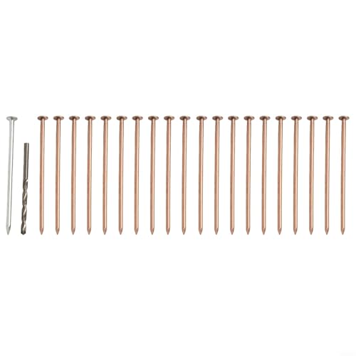 GANCEI Kupfernägel zum Töten von Bäumen, 8,9 cm und 10,2 cm Optionen, Kupfernägel, Baumstumpfentfernung, Spikes mit Bohrer, 20 Stück GANCEI Kupfernägel zum Töten von Bäumen, 8,9 cm und 10,2 cm Optionen, Kupfernägel, Baumstumpfentfernung, Spikes mit Bohrer, 20 Stück von GANCEI