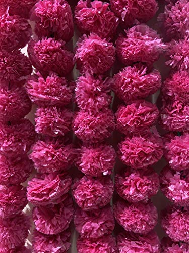 Indische Hochzeitsdekorationen Girlanden Party Dekorationen Foto Tropfen Dekorationen Künstliche Ringelblume Blumen Schnüre Wanddekoration (5 Stück) (Pink) von GANESHAM