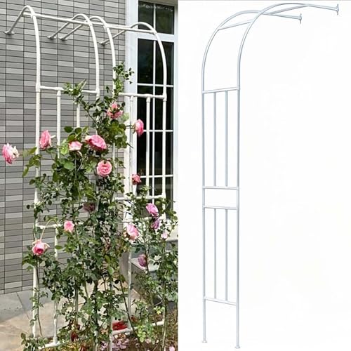 GAOBINGB Gartenbogen-Spalier, Metallpergola mit Stahlrahmen, wandmontierter Hochzeitsbogen für Kletterpflanzen, Rosen und Weinreben, Außenlaube für Rasen, Terrasse und Hof. von GAOBINGB