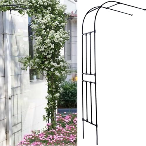 GAOBINGB Metall-Gartenwandbogen, dekorative Rankhilfe für Kletterrosen, Terrassenpergola für Rasen, Hof, Outdoor-Party, Hochzeitszeremonie (220 x 240 x 40 cm) von GAOBINGB