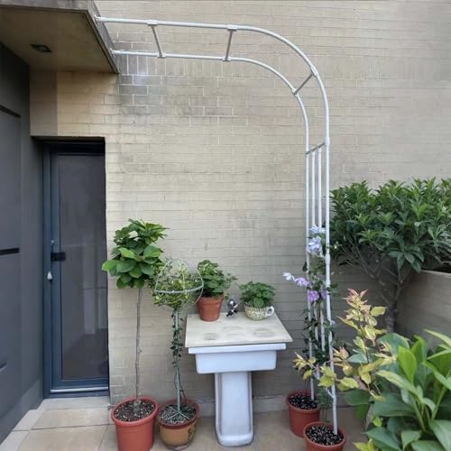 GAOBINGB Wetterfeste Gartenbogen-Spalierpergola aus Metall für Kletterpflanzen. Robustes Rohrdesign für Hochzeiten im Freien, Rasen, Terrasse und Hinterhof. von GAOBINGB