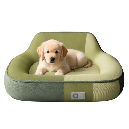 GAOCUNBING Hundesofa, Hundebett mit erhöhten Seiten, Füllung ohne Zusammenfalten, Hundebett aus Memory-Schaum, Sofa, Hundebett für große Hunde, Grün, M 50 x 40 cm GAOCUNBING Hundesofa, Hundebett mit erhöhten Seiten, Füllung ohne Zusammenfalten, Hundebett aus Memory-Schaum, Sofa, Hundebett für große Hunde, Grün, M 50 x 40 cm von GAOCUNBING