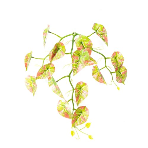 GAOFESA Fisch-Hängematte, Pflanze, Saugnapf, Blattbeet, realistische Blattunterlage für Aquarien, Lebensräume, Dekoration, Aquarien, Verstecke, Aquarien, Dekorationen GAOFESA Fisch-Hängematte, Pflanze, Saugnapf, Blattbeet, realistische Blattunterlage für Aquarien, Lebensräume, Dekoration, Aquarien, Verstecke, Aquarien, Dekorationen von GAOFESA