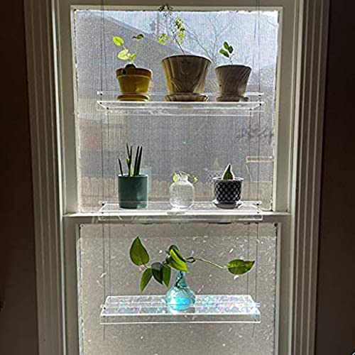GAOFESA Premium Transpaent Acryl Fenster Pflanzenregale 2/3 Schichten Klar Hängendes Schwebendes Wandregal Blumentopf Rack Pflanzgefäß Ständer Indoow Outdoor Dekoration Hängendes Schwebendes Wandregal GAOFESA Premium Transpaent Acryl Fenster Pflanzenregale 2/3 Schichten Klar Hängendes Schwebendes Wandregal Blumentopf Rack Pflanzgefäß Ständer Indoow Outdoor Dekoration Hängendes Schwebendes Wandregal von GAOFESA