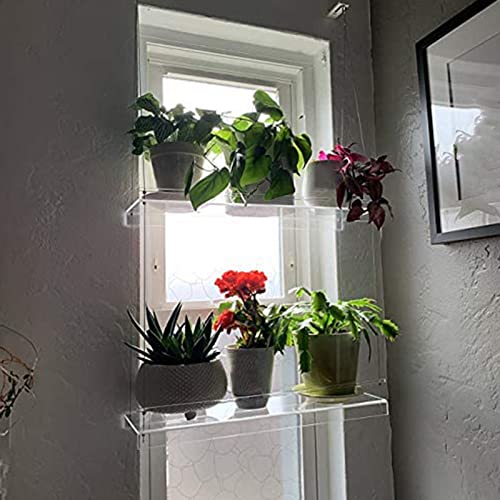 GAOFESA Premium Transpaent Acryl Fenster Pflanzenregale 2/3 Schichten Klar Hängendes Schwebendes Wandregal Blumentopf Rack Pflanzgefäß Ständer Indoow Outdoor Dekoration Hängendes Schwebendes Wandregal GAOFESA Premium Transpaent Acryl Fenster Pflanzenregale 2/3 Schichten Klar Hängendes Schwebendes Wandregal Blumentopf Rack Pflanzgefäß Ständer Indoow Outdoor Dekoration Hängendes Schwebendes Wandregal von GAOFESA