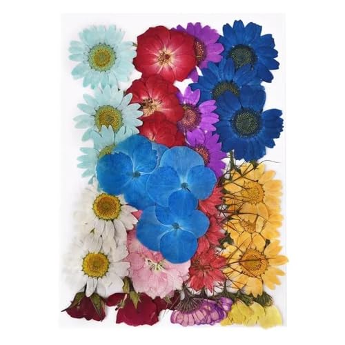 GAOJUDAF 1 Set DIY Echte gepresste Blume mit Blättern, getrocknete Blumen for Scrapbooking, gepresste Blumen Gras for Harz(Blue) von GAOJUDAF