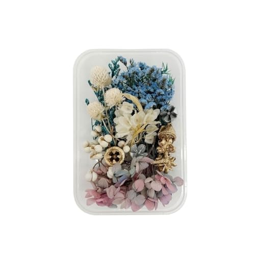 GAOJUDAF 1 Set echte getrocknete Blumen for Kerzen, Dekoblumen for Bilderrahmen aus Kunstharz, Mini-Pressblumen for Selbermachen(Blue) von GAOJUDAF