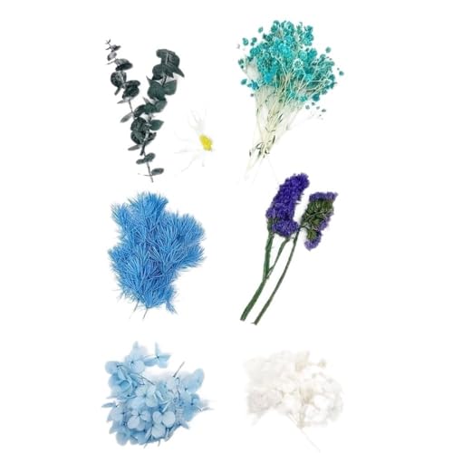 GAOJUDAF 1 Set echte getrocknete Blumen for Kerzen, Dekoblumen for Bilderrahmen aus Kunstharz, Mini-Pressblumen for Selbermachen(Dark Blue) von GAOJUDAF