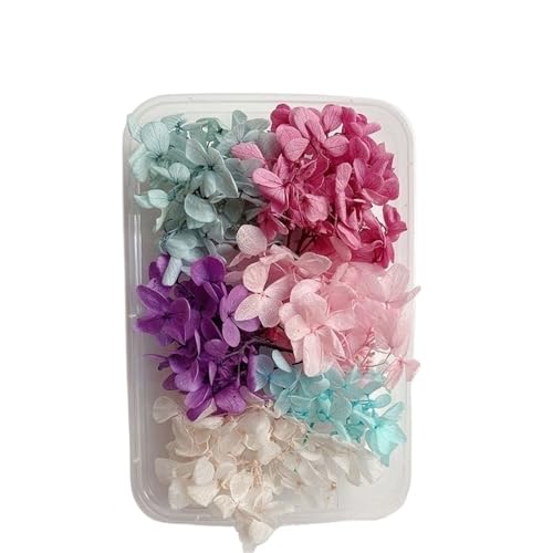 GAOJUDAF 1 Set echte getrocknete Blumen for Kerzen, Dekoblumen for Bilderrahmen aus Kunstharz, Mini-Pressblumen for Selbermachen(Light pink) von GAOJUDAF