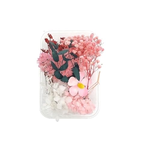 GAOJUDAF 1 Set echte getrocknete Blumen for Kerzen, Dekoblumen for Bilderrahmen aus Kunstharz, Mini-Pressblumen for Selbermachen(Pink) von GAOJUDAF