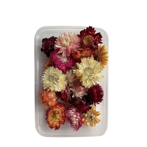 GAOJUDAF 1 Set echte getrocknete Blumen for Kerzen, Dekoblumen for Bilderrahmen aus Kunstharz, Mini-Pressblumen for Selbermachen(Red) von GAOJUDAF