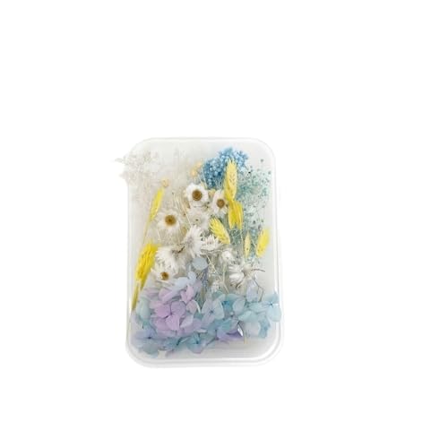GAOJUDAF 1 Set echte getrocknete Blumen for Kerzen, Dekoblumen for Bilderrahmen aus Kunstharz, Mini-Pressblumen for Selbermachen(White) von GAOJUDAF