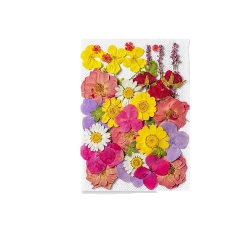 GAOJUDAF 1 Stück Gepresste echte Blumen Set zur Kerzenherstellung, Getrocknete gepresste Blumen for Kunsthandwerk, Getrocknete Blumen for Harz(Deep pink) von GAOJUDAF