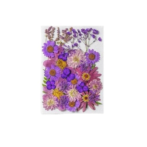 GAOJUDAF 1 Stück Gepresste echte Blumen Set zur Kerzenherstellung, Getrocknete gepresste Blumen for Kunsthandwerk, Getrocknete Blumen for Harz(Light Purple) von GAOJUDAF