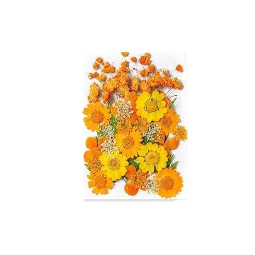 GAOJUDAF 1 Stück Gepresste echte Blumen Set zur Kerzenherstellung, Getrocknete gepresste Blumen for Kunsthandwerk, Getrocknete Blumen for Harz(Orange) von GAOJUDAF