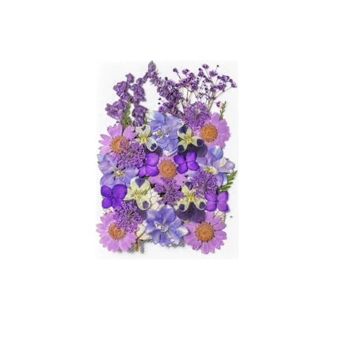 GAOJUDAF 1 Stück Gepresste echte Blumen Set zur Kerzenherstellung, Getrocknete gepresste Blumen for Kunsthandwerk, Getrocknete Blumen for Harz(Purple) von GAOJUDAF