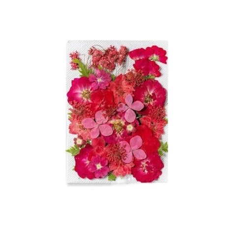 GAOJUDAF 1 Stück Gepresste echte Blumen Set zur Kerzenherstellung, Getrocknete gepresste Blumen for Kunsthandwerk, Getrocknete Blumen for Harz(Red) von GAOJUDAF