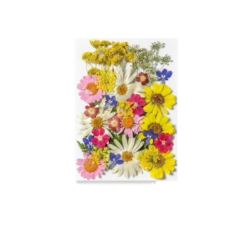 GAOJUDAF 1 Stück Gepresste echte Blumen Set zur Kerzenherstellung, Getrocknete gepresste Blumen for Kunsthandwerk, Getrocknete Blumen for Harz(Yellow) von GAOJUDAF