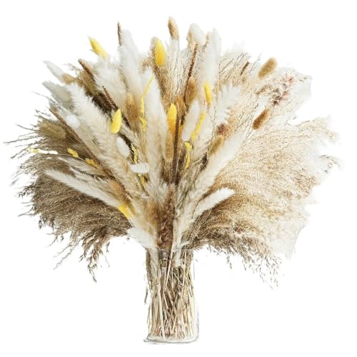 GAOJUDAF 100 Stück Getrocknete Blumen Home Decor, Getrocknetes Kaninchenschwanzgras Dekor, Flauschiges Gras Kaninchenschwanz Bouquet GAOJUDAF 100 Stück Getrocknete Blumen Home Decor, Getrocknetes Kaninchenschwanzgras Dekor, Flauschiges Gras Kaninchenschwanz Bouquet von GAOJUDAF