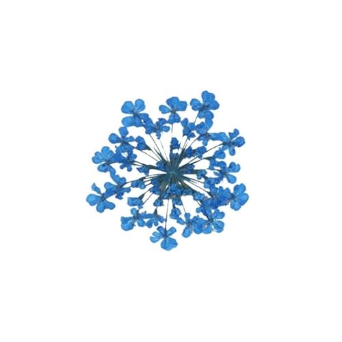 GAOJUDAF 100 Stück getrocknete rosa kleine Blumen, gepresste getrocknete Miniblumen, Epoxidharz Schmuckherstellung Blume(Blue) von GAOJUDAF