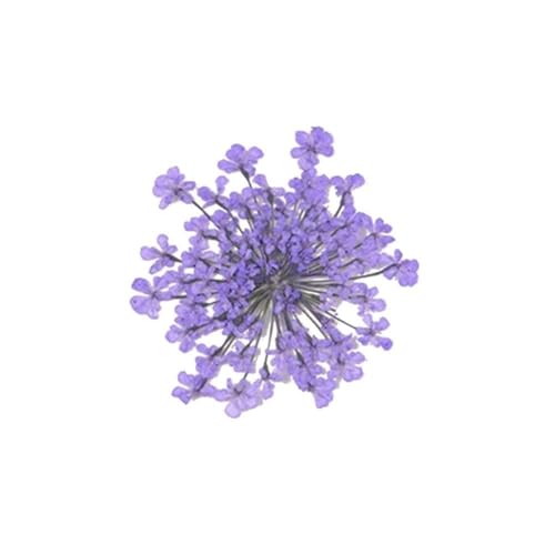GAOJUDAF 100 Stück getrocknete rosa kleine Blumen, gepresste getrocknete Miniblumen, Epoxidharz Schmuckherstellung Blume(Light Purple) von GAOJUDAF