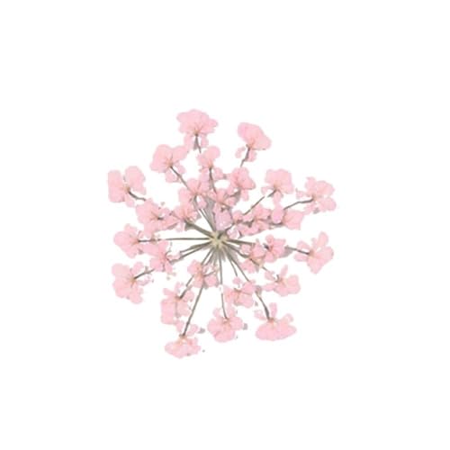 GAOJUDAF 100 Stück getrocknete rosa kleine Blumen, gepresste getrocknete Miniblumen, Epoxidharz Schmuckherstellung Blume(Pink) von GAOJUDAF