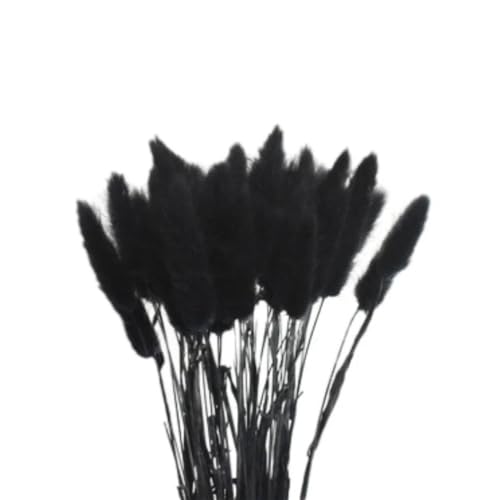 GAOJUDAF 50 Stück Premium-Dekorpflanzen mit Hasenschwanz, getrocknete Blumen, Hasenschwanzgras, unsterbliche getrocknete Blumensträuße for Partys(Black) von GAOJUDAF