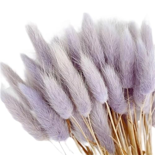 GAOJUDAF 50 Stück Premium-Dekorpflanzen mit Hasenschwanz, getrocknete Blumen, Hasenschwanzgras, unsterbliche getrocknete Blumensträuße for Partys(Lightpurple) von GAOJUDAF