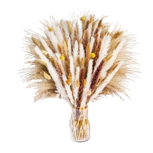 GAOJUDAF 90 Stück getrocknete Blumen, Hasenschwänze, Gräser, getrocknete Blumensträuße, Hochzeitsdekor, Partyzubehör, Pastorale Wohndekoration GAOJUDAF 90 Stück getrocknete Blumen, Hasenschwänze, Gräser, getrocknete Blumensträuße, Hochzeitsdekor, Partyzubehör, Pastorale Wohndekoration von GAOJUDAF