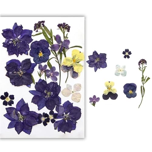 GAOJUDAF Gepresstes Blumenset for lustiges Heimwerken, Set mit geprägten Trockenblumen, luftgetrocknete ewige Trockenblume for mit Harz gefüllte(Dark Purple) von GAOJUDAF
