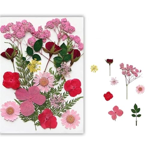 GAOJUDAF Gepresstes Blumenset for lustiges Heimwerken, Set mit geprägten Trockenblumen, luftgetrocknete ewige Trockenblume for mit Harz gefüllte(Dark pink) von GAOJUDAF