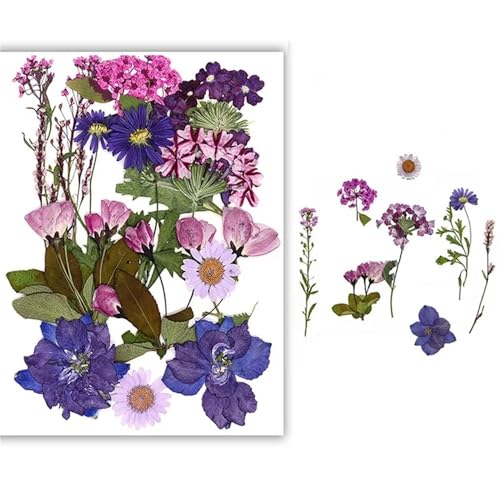 GAOJUDAF Gepresstes Blumenset for lustiges Heimwerken, Set mit geprägten Trockenblumen, luftgetrocknete ewige Trockenblume for mit Harz gefüllte(Deep Purple) von GAOJUDAF